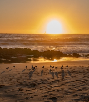 唯美黄昏大海沙滩落日余晖摄影图片